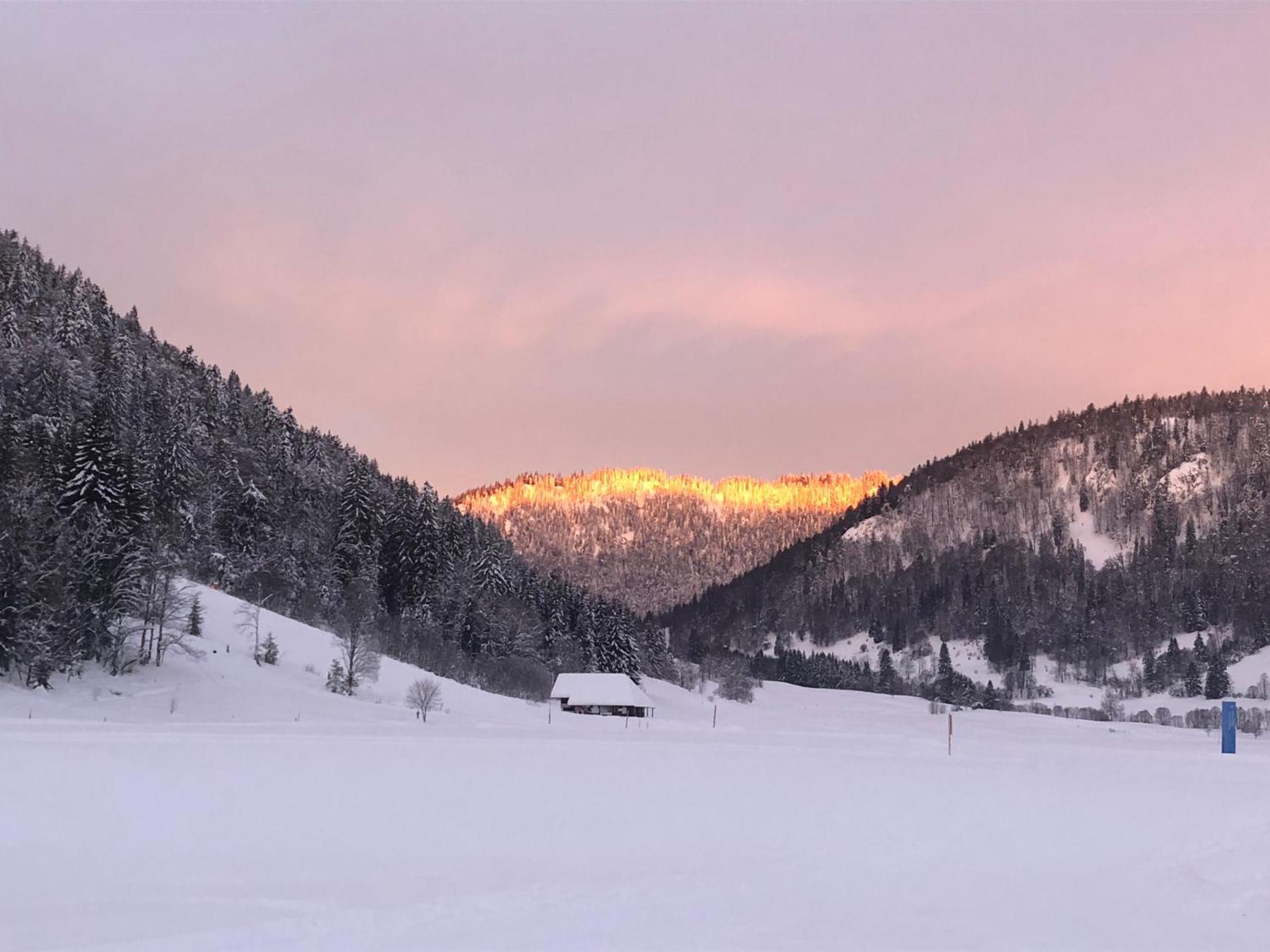 Forest Apartment-Mountain Escape Menzenschwand St. Blasien Exterior foto