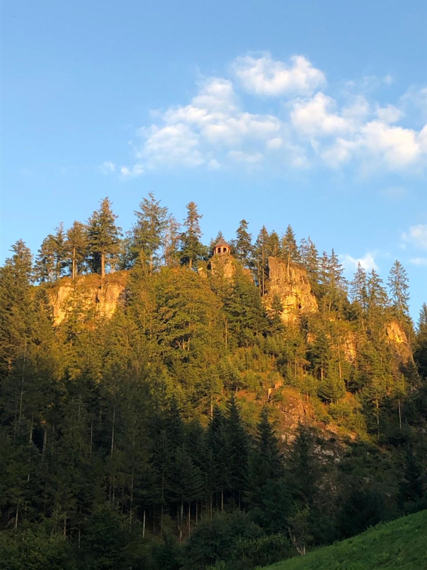 Forest Apartment-Mountain Escape Menzenschwand St. Blasien Exterior foto